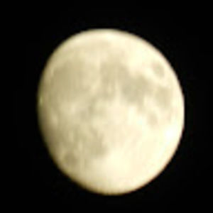 Meet your Posher, Tilly